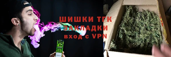 дурь Бородино