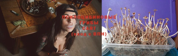 прущая мука Бронницы