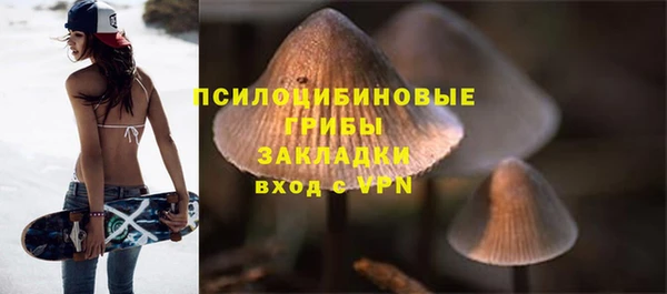 дурь Бородино