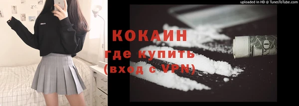 дурь Бородино