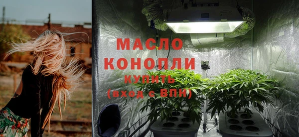 дурь Бородино