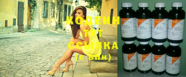 дурь Бородино