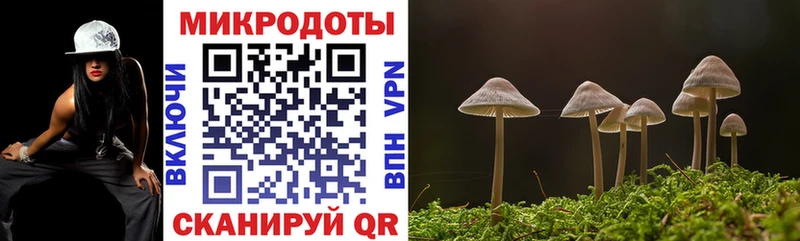 Псилоцибиновые грибы Cubensis  дарнет шоп  Кировск 